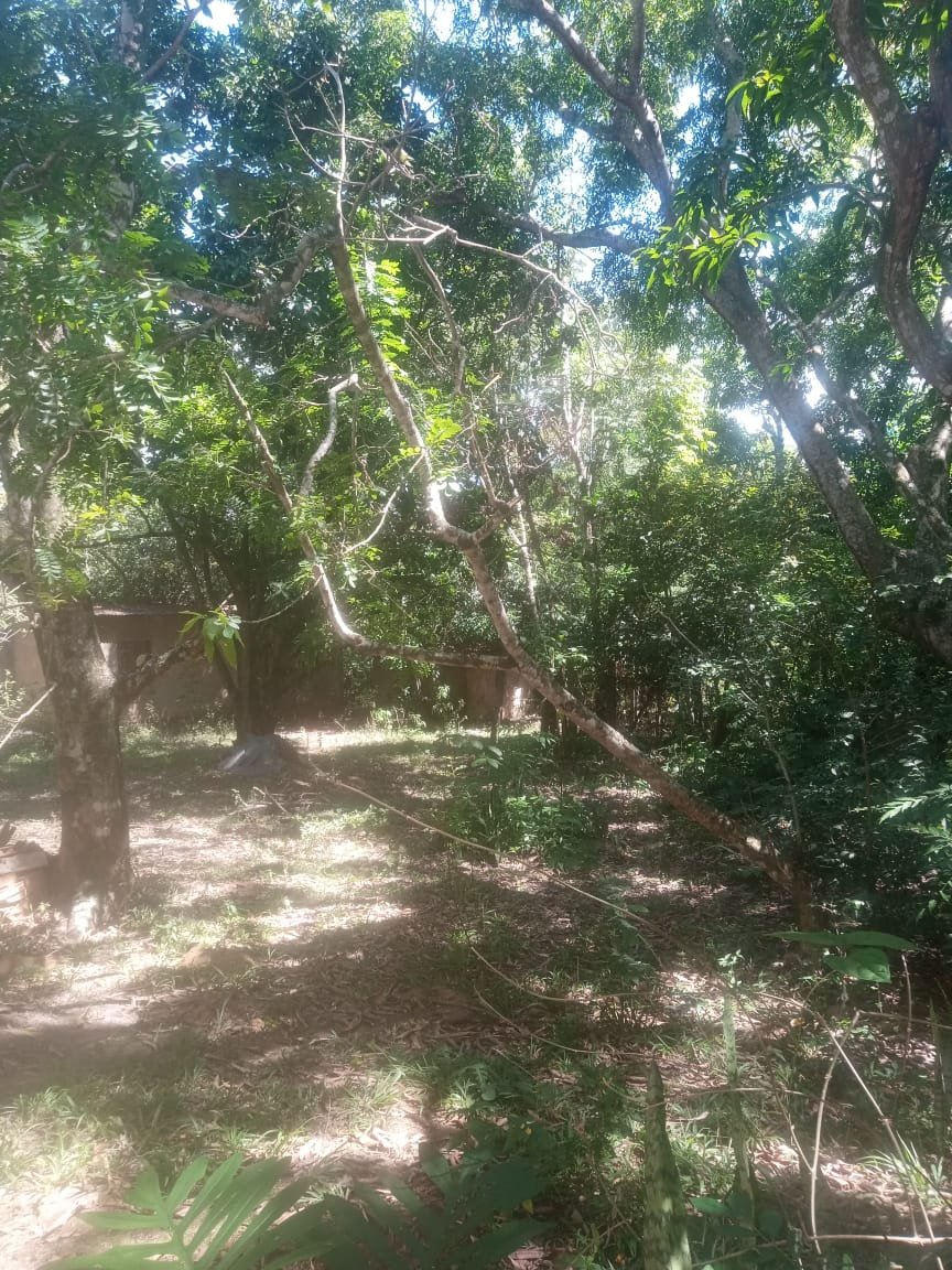 Vista da área e entorno