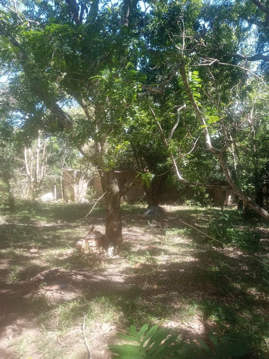 Vista aérea e características da área